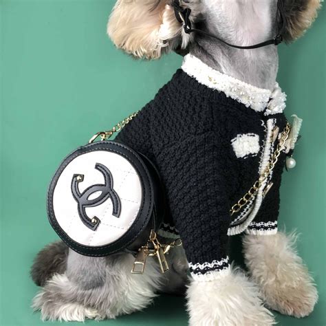 purrfect chanel dog accessories